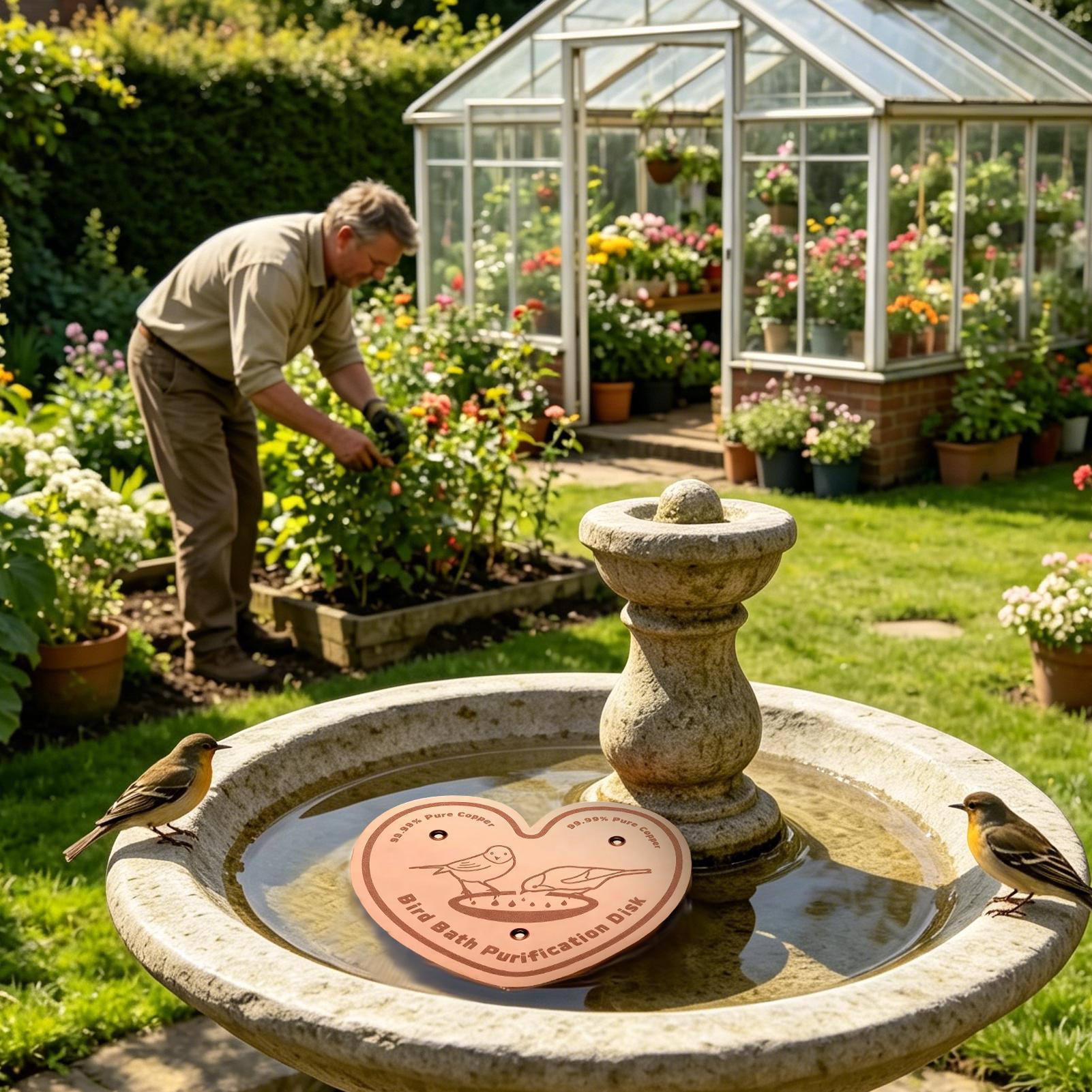 Bird Bath Cleaner Disc Solid M - Farming A avis et prix