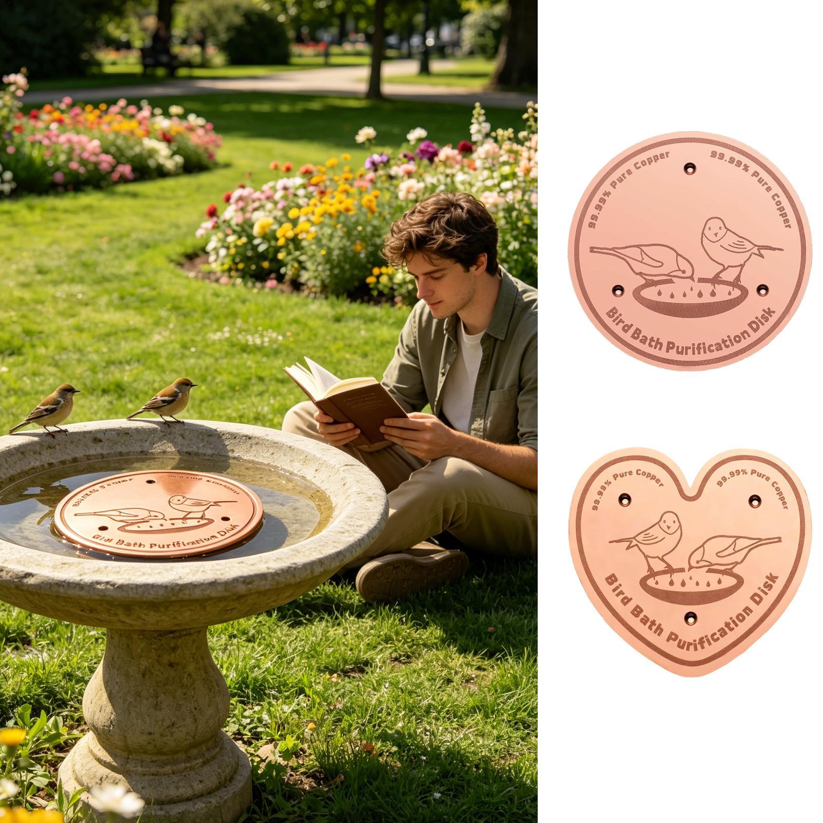 Bird Bath Cleaner Disc Solid M - Farming A avis et prix