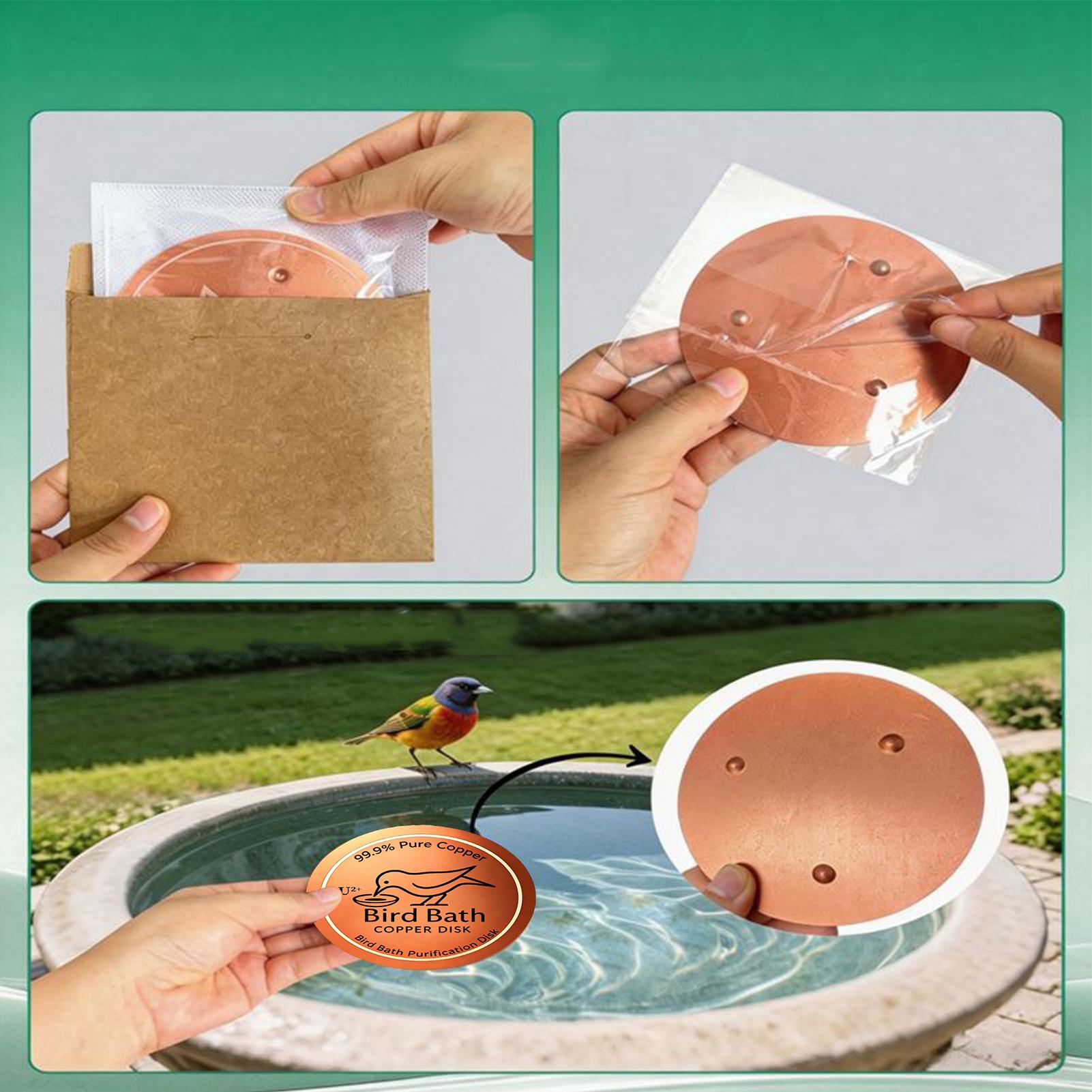 Bird Bath Copper Disk 0.6mm Th - Farming A avis et prix
