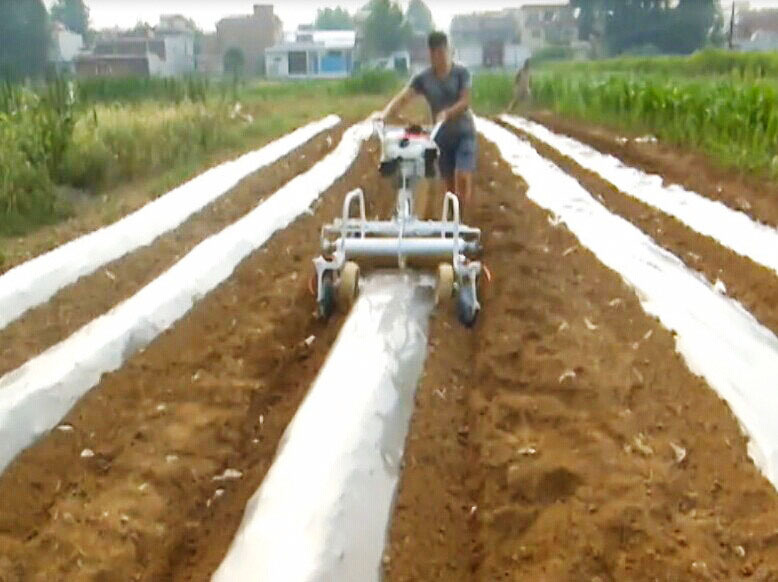 Mini Powered 5HP High Producti - Seed Planter avis et prix