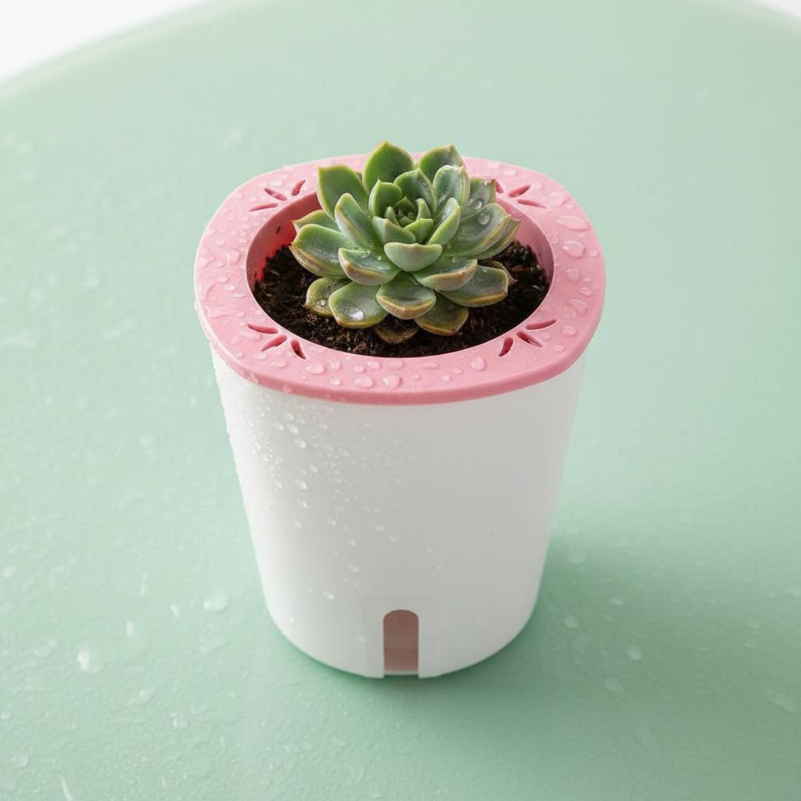 Self Watering Planter Large Si - Farming And Agriculture avis et prix
