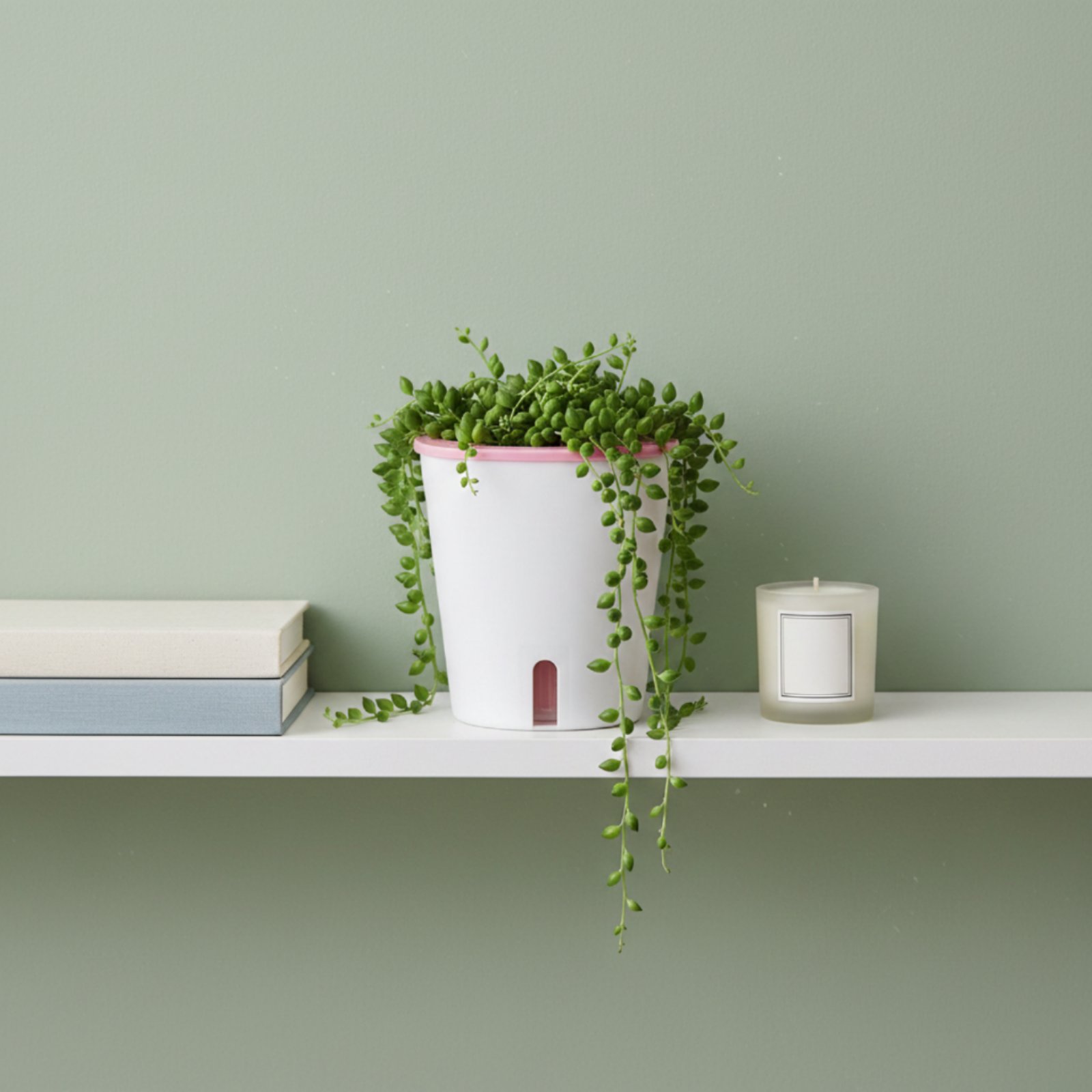 Self Watering Planter Large Si - Farming And Agriculture avis et prix